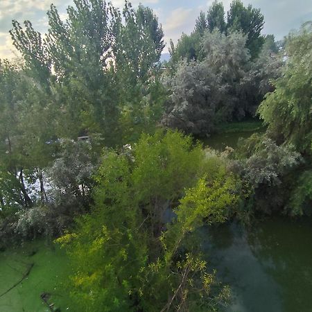 מלון Srīnagar The Heaven Tree מראה חיצוני תמונה