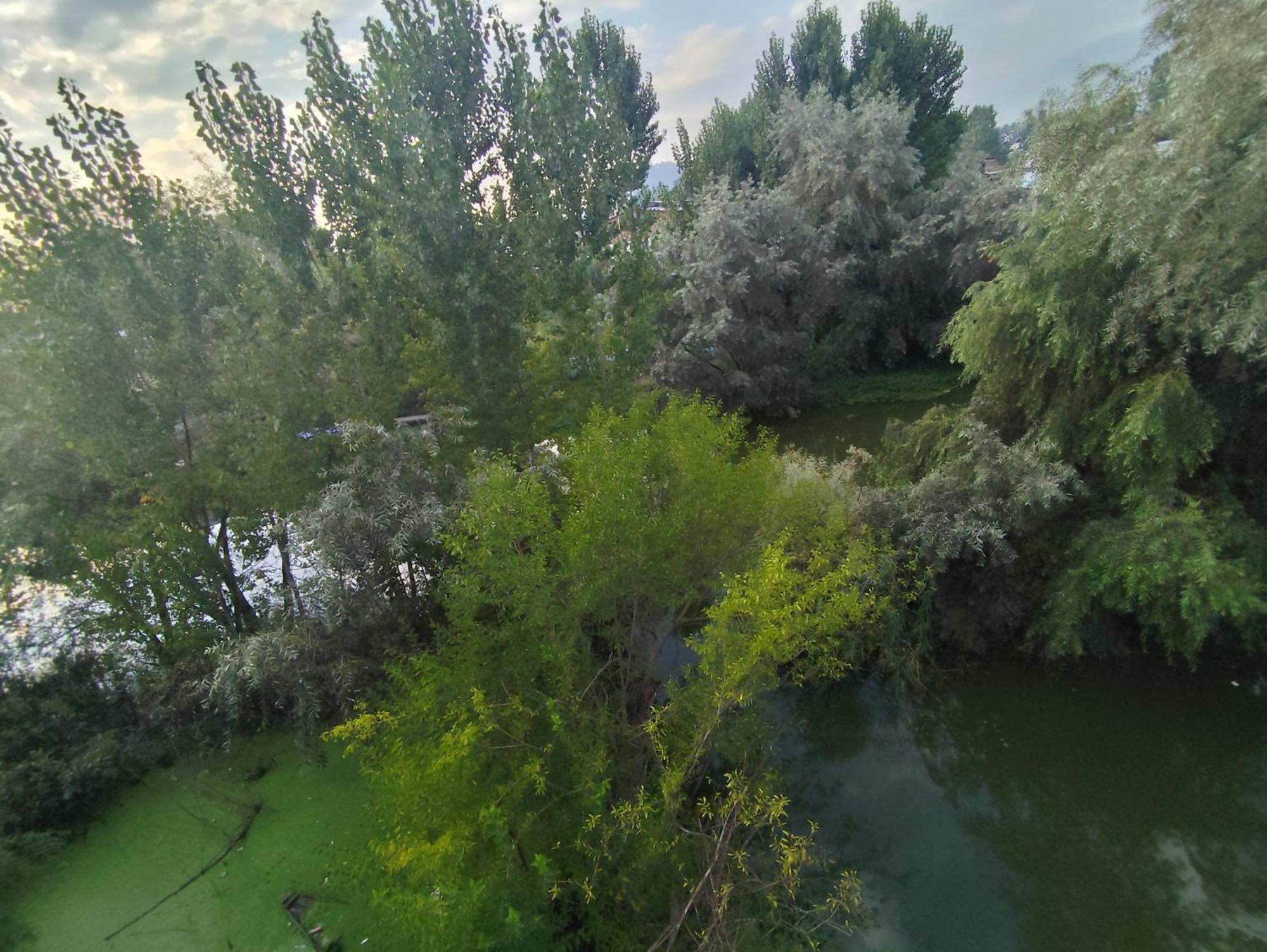 מלון Srīnagar The Heaven Tree מראה חיצוני תמונה