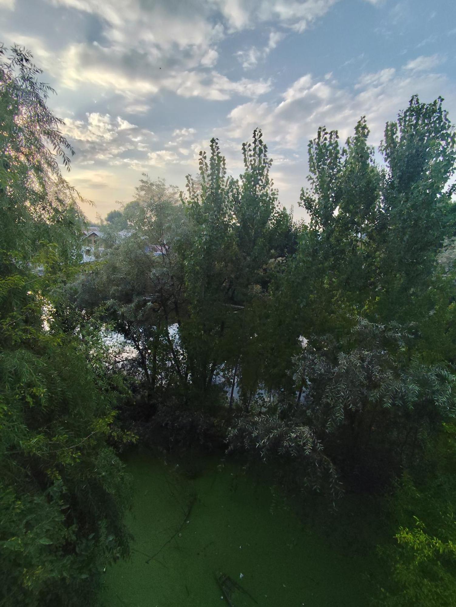 מלון Srīnagar The Heaven Tree מראה חיצוני תמונה